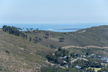 Fototapeta na wymiar trees on Signal Hill slopes, Cape Town