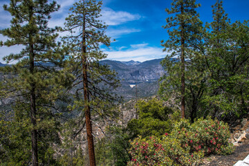 Fototapeta premium Hetch Hetchy Resevoir