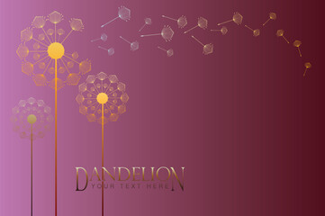 Abstract background of a dandelion for design. The wind blows the seeds of a dandelion