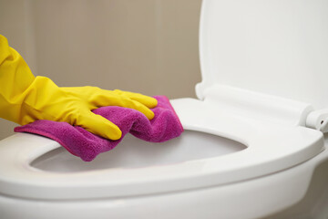 Obraz na płótnie Canvas Bathroom cleaner with sanitary care