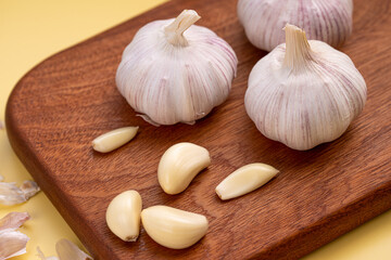 garlic