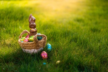 Easter eggs in basket with easter bunny on top. Chocolate rabbit with colorful decorated eggs in...
