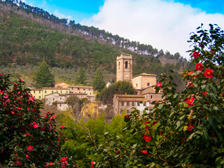 Italia, Toscana, Lucca, il paese di Pieve di Compito, veduta del pese e la chiesa di  Sant'Andrea, con camelie.