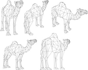 sketch vector illustration of a desert camel