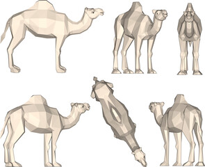 sketch vector illustration of a desert camel