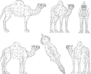 sketch vector illustration of a desert camel