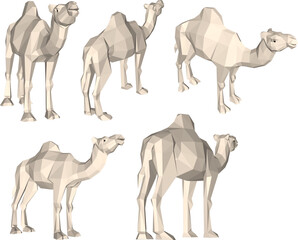 sketch vector illustration of a desert camel.