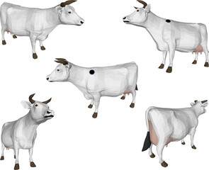 sketch vector illustration of a farm fat cow with horns