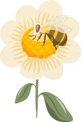 Bee and honey collections