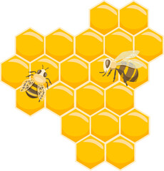 Bee and honey collections