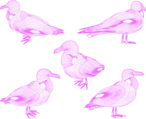 sketch vector illustration of a seagull on the beach