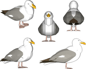 sketch vector illustration of a seagull on the beach