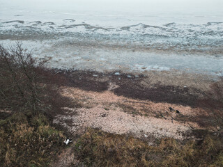Aerial photo of beach and sea or lake and a dog
