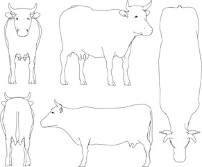 sketch vector illustration of beef cattle from the farm
