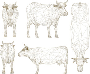 sketch vector illustration of beef cattle from the farm