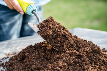 Gardener woman holding peat moss organic matter improve soil for agriculture organic plant growing,...