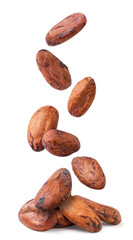 Cocoa beans are falling on a pile on a white background. Isolated