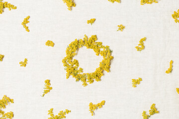 Stylish botanical frame with yellow field flowers, flowery background, copy space. Blooming bedstraw flower, medicinal herbs, aromatic wild blooms. Nature design botanical flat lay