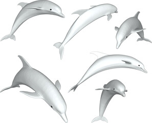 Fototapeta premium sketch vector illustration of sea dolphin fish