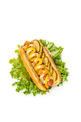 hot dog on a white isolated background. fried sausage in sauce