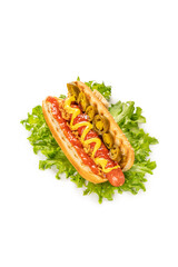 hot dog on a white isolated background. fried sausage in sauce