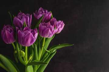 Purple tulips on a black background with space for writing text.