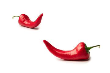 Red hot chili pepper isolated on a white background.