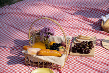 Couple having a picnic in a beautiful and natural park
