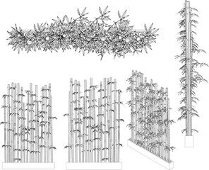 Vector sketch illustration of ornamental bamboo plant