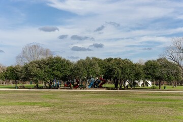 Scene of the many bare trees in the park covered with green grass in the daytime