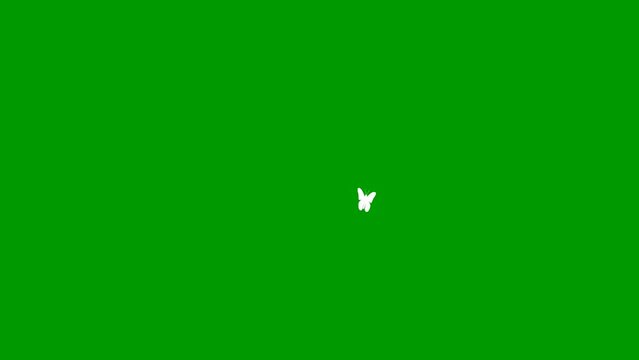 Animated white butterfly flies. Looped video. Summer and spring concept. Vector illustration isolated on green background.