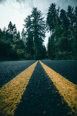 Vertical shot of a roadway through Shively Park with a forest in the background, Astoria, Oregon