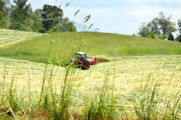 Fototapeta premium Tennessee Agriculture