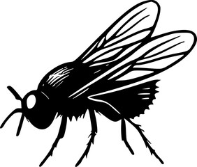 Flies | Black and White Vector illustration
