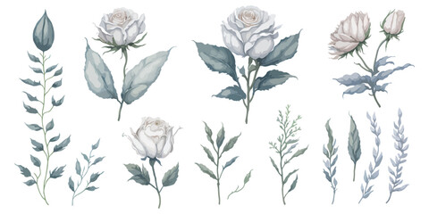 Vector Illustration. White Roses for a Timeless Design.