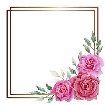Isolated object-125. Bouquet of pink roses, frame 1, hand drawn watercolour illustration.