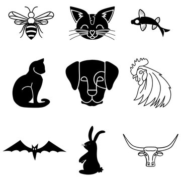 aminal vector set