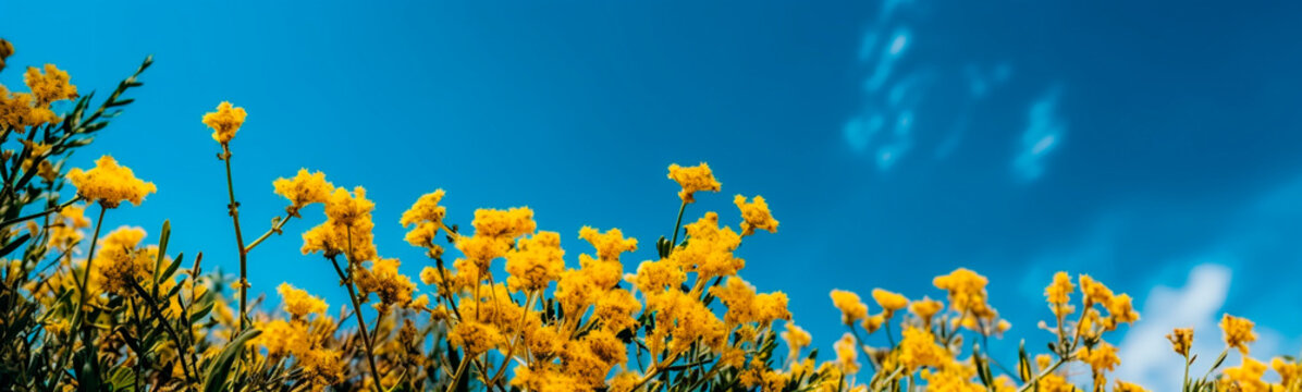 blue sky and yellow flowers. Generative AI,