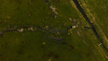 Kleine Quelle mündet in Bach