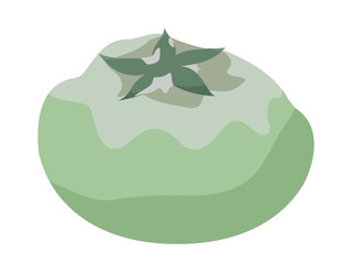 灰色かび病のトマト