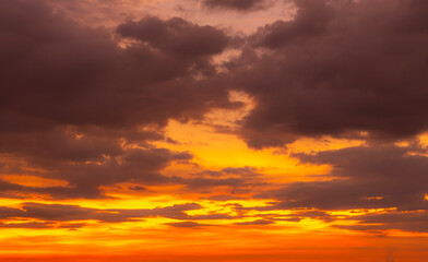 Trend color background