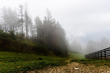 The ski slope from 1400 m in autumn season, Sinaia, Prahova valley, Romania. - obrazy, fototapety, plakaty