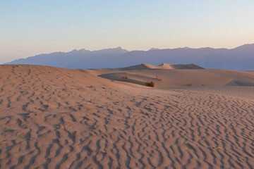 Panoramic view on natural pattern in sand during sunrise at Mesquite Flat Sand Dunes, Death Valley...
