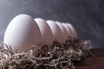 Six eggs standing on a table in a row with gras around them and strong highlight.