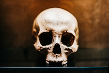 Haunting photograph of skulls