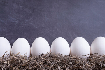 Eggs standing horizontally on a table in a row with gras around them. Space for text.
