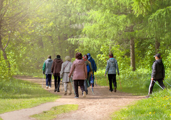 Obraz premium Sports walking with sticks. Women in old age are engaged in Nordic walking in nature in the forest. Active longevity.