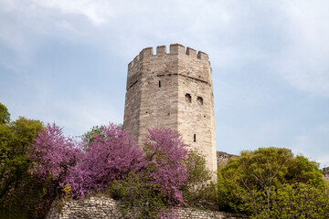 Obraz premium Historical Byzantine city walls, Kazlıçeşme, Zeytinburnu. TURKEY