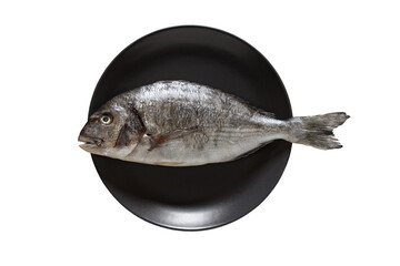 Dorado, raw fresh uncooked fish, on gray plate, isolated on white background with clipping path.