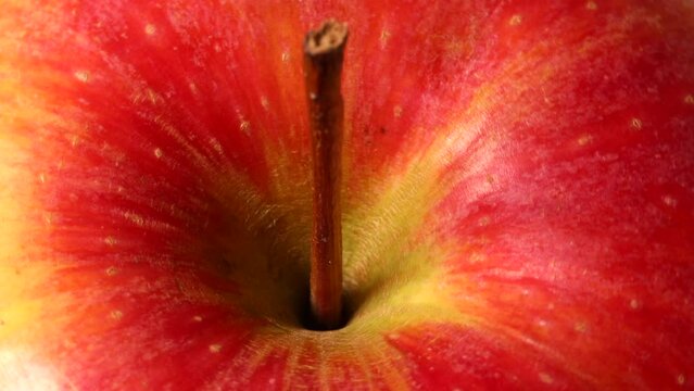 Red apple turning slowly in close up